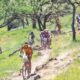 MARY GRIGSON NAPA VALLEY, USA. TISSOT MOUNTAIN BIKE WORLD CUP 2000