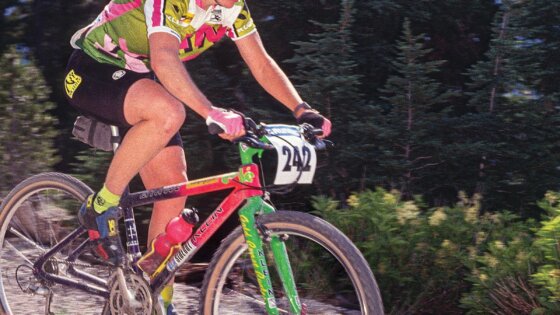 Cindy WhiteHead
