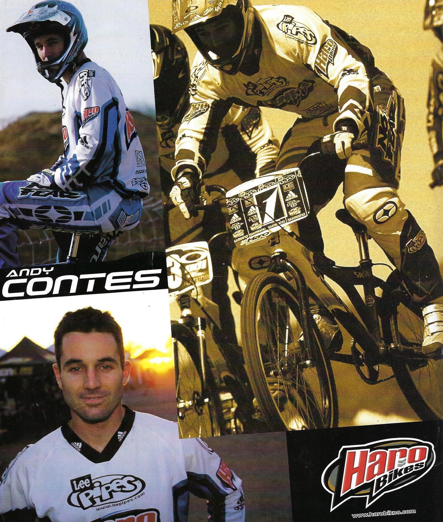 Andy Contes