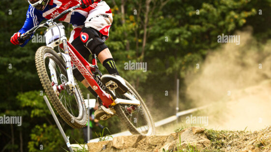 ©Victor Lucas / Alamy Stock Photo - Steve Peat 2010