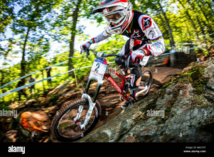 Greg Minnaar 2010 - ©Victor Lucas / Alamy Foto Stock