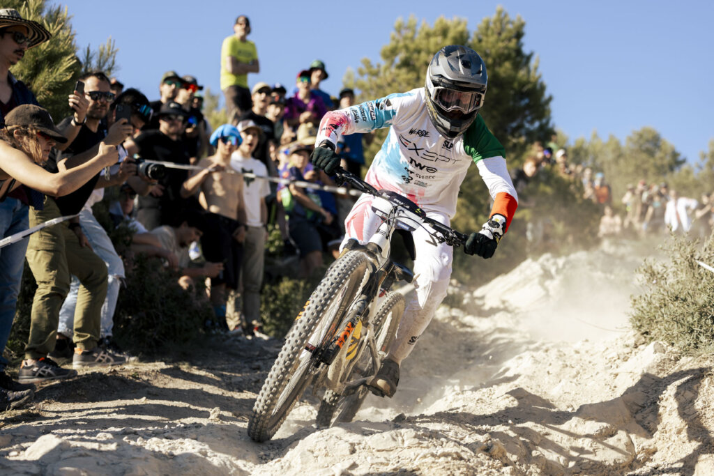 mirco vendemmia finale ligure