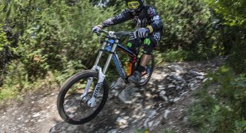 Tutto su lee cougan | 365mountainbike
