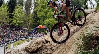 Tutto su nove mesto | 365mountainbike