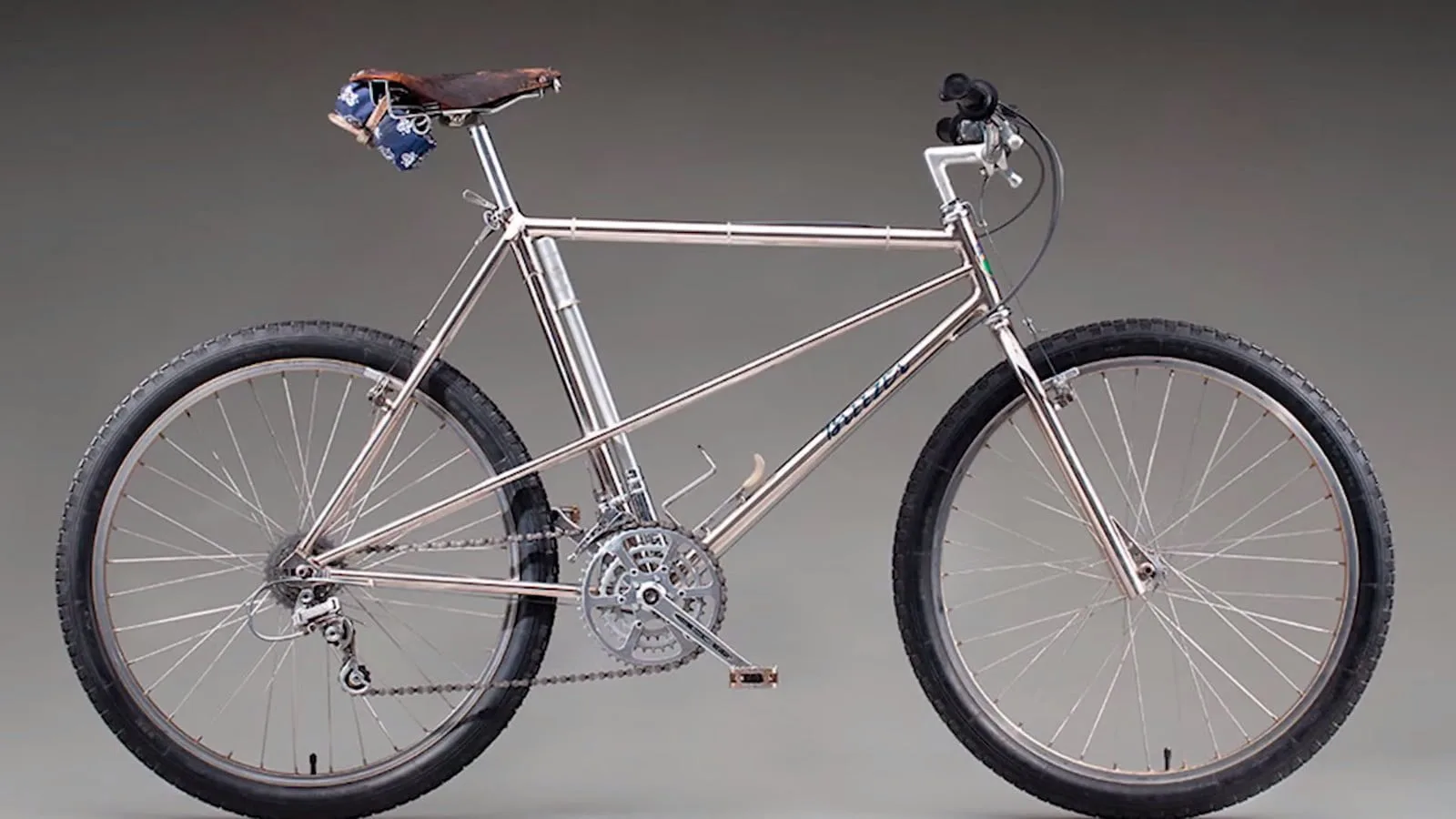 Schwinn, Excelsior Joe Breeze