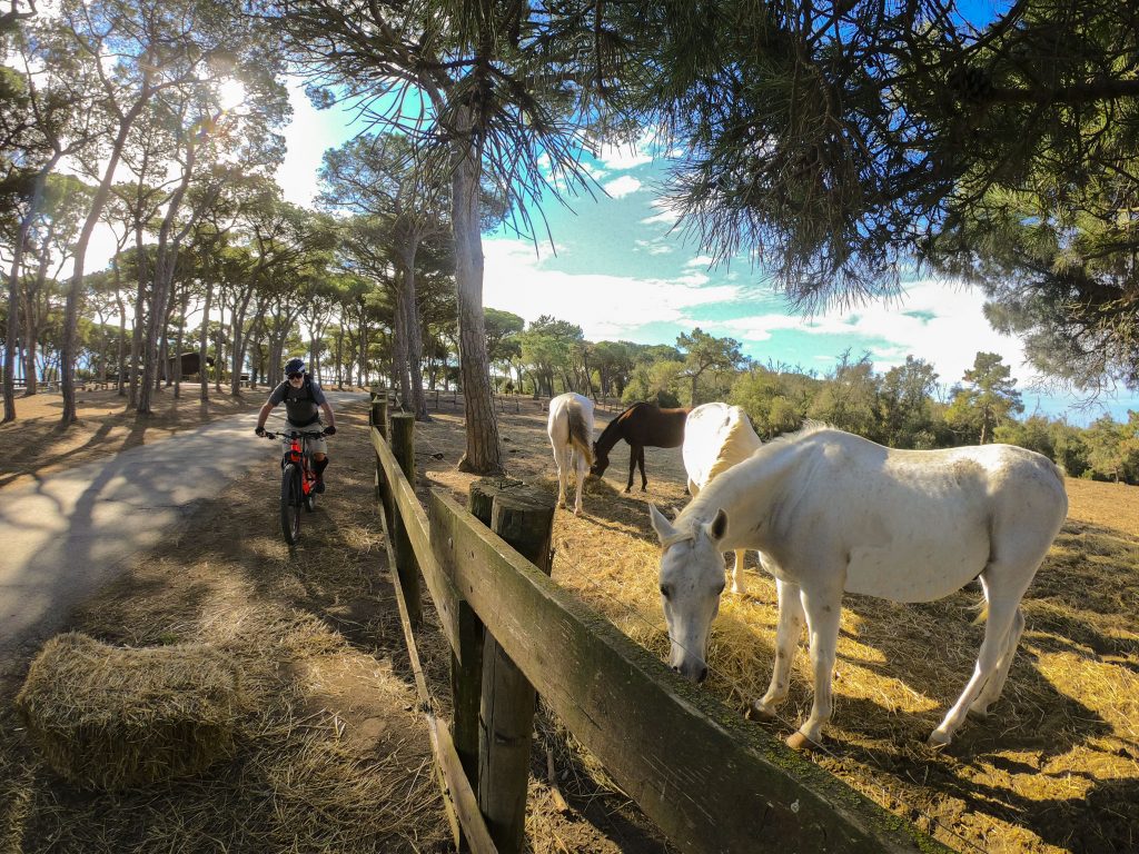 mtb elba - giro isola d'elba mountain bike