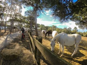 mtb elba - giro isola d'elba mountain bike