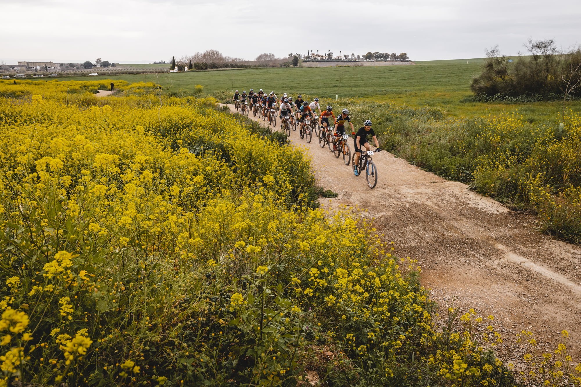Wilier_Pirelli_ABR_Race05_017