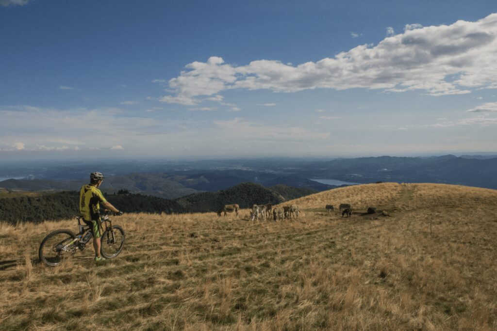 Un ciclista in montagna osserva cavalli al pascolo sotto un cielo limpido e nuvoloso.