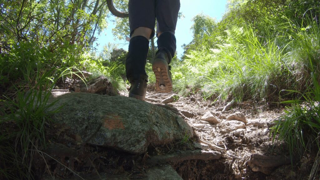 Escursionista su sentiero di montagna tra verdi alberi e rocce, in una giornata soleggiata.