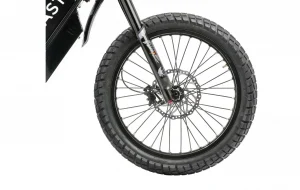 Delfast e-bike 4