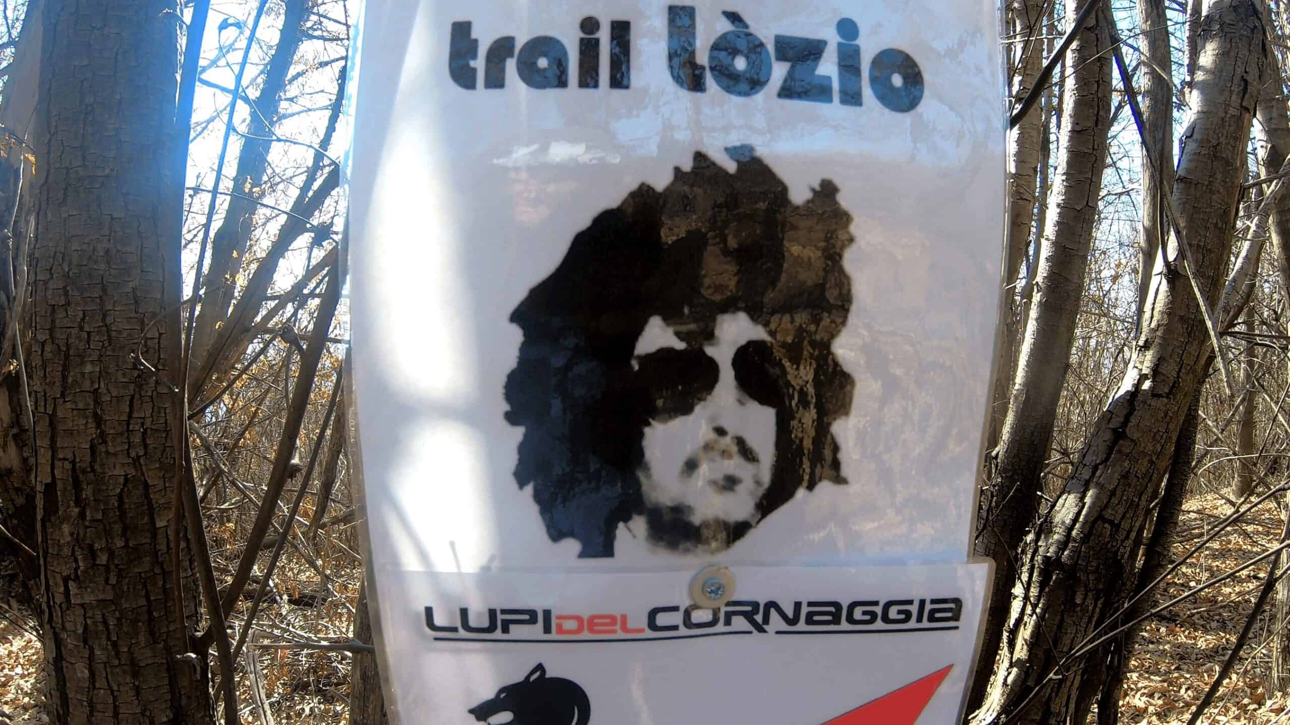 Trail Lozio, sentiero di mountain biking nel bosco con segnaletica speciale handmade.
