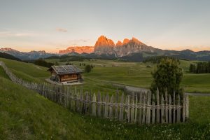 © Fabian Dalpiaz_2021