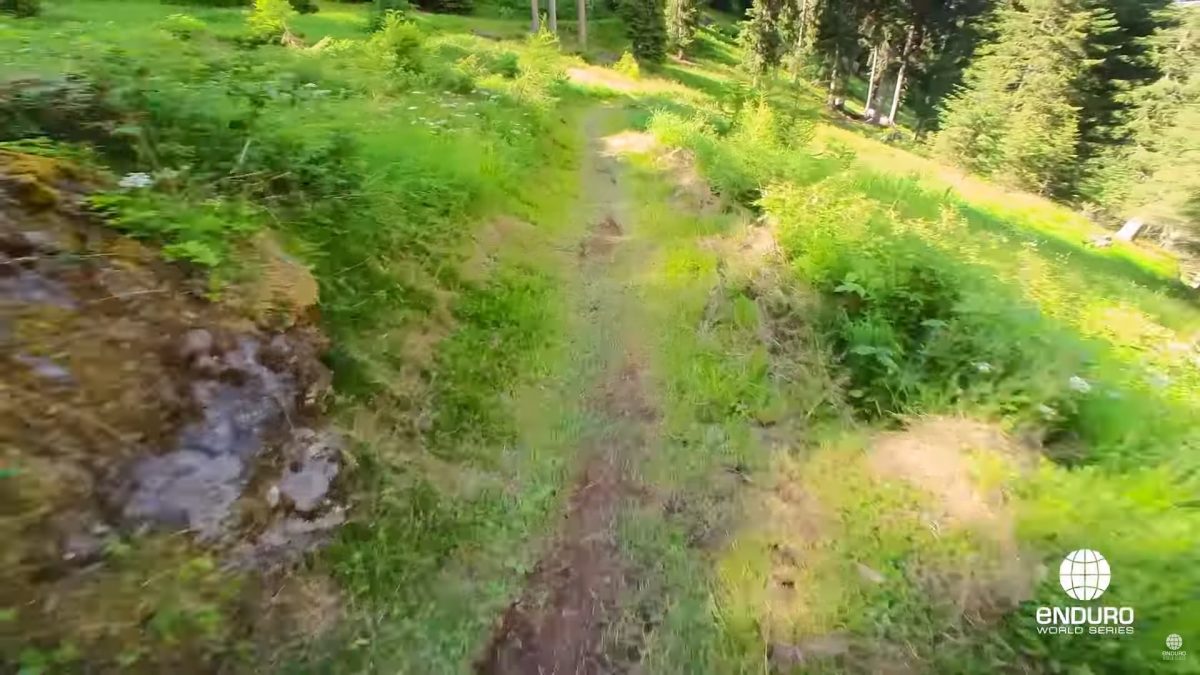 richie rude pov