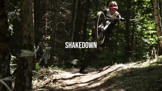 Salto in mountain bike tra gli alberi in un bosco fitto.