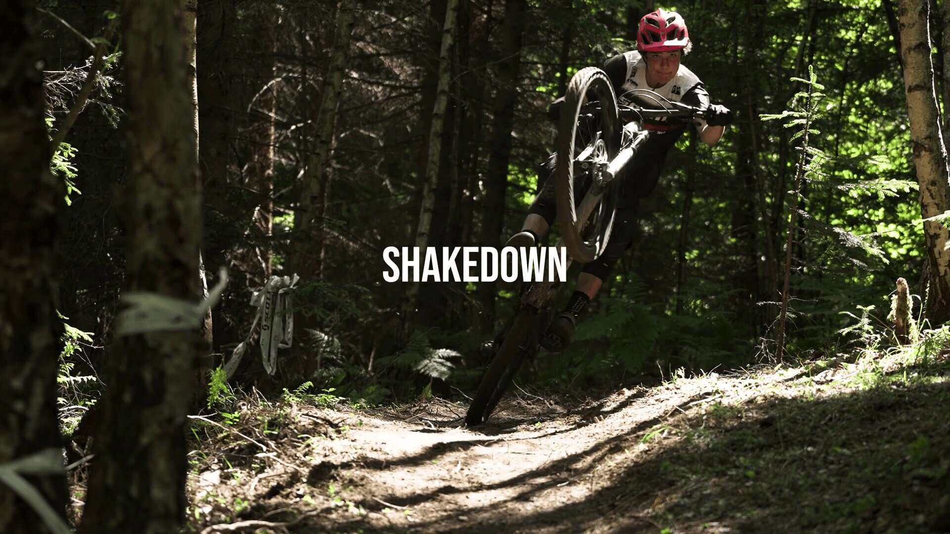 Salto in mountain bike tra gli alberi in un bosco fitto.