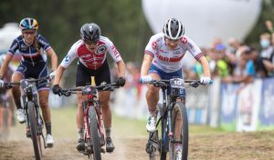 Sina Frei XCC