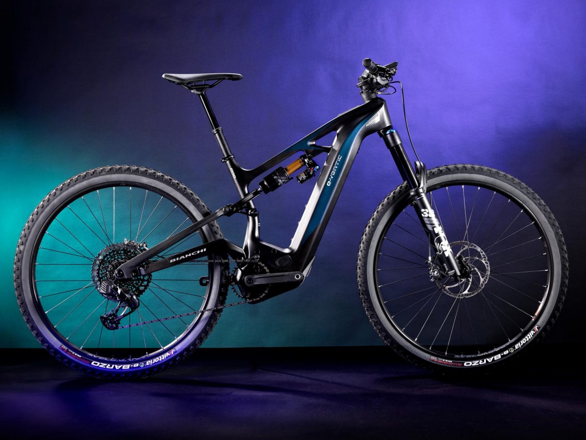 Bianchi e-vertic