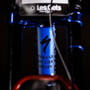 Specialized Demo Loic Bruni 9
