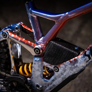 Specialized Demo Loic Bruni 9