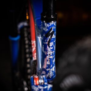 Specialized Demo Loic Bruni 9