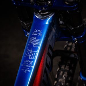 Specialized Demo Loic Bruni 9
