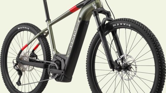 cannondale trail neo 1