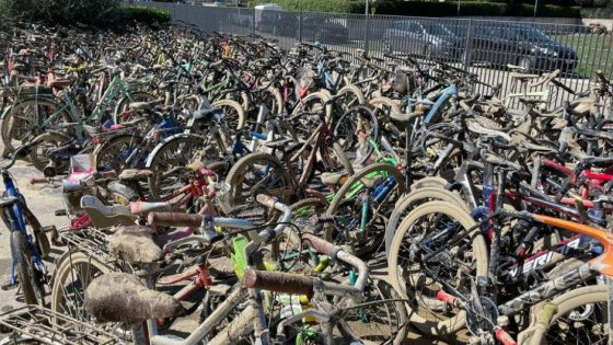 Cingolani Bike Shop (1)