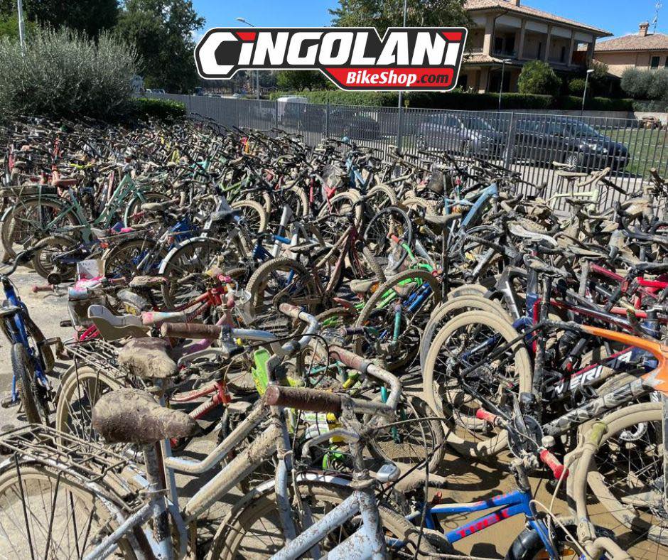 Cingolani Bike Shop (1)