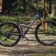 Wilier Triestine USMA SLR