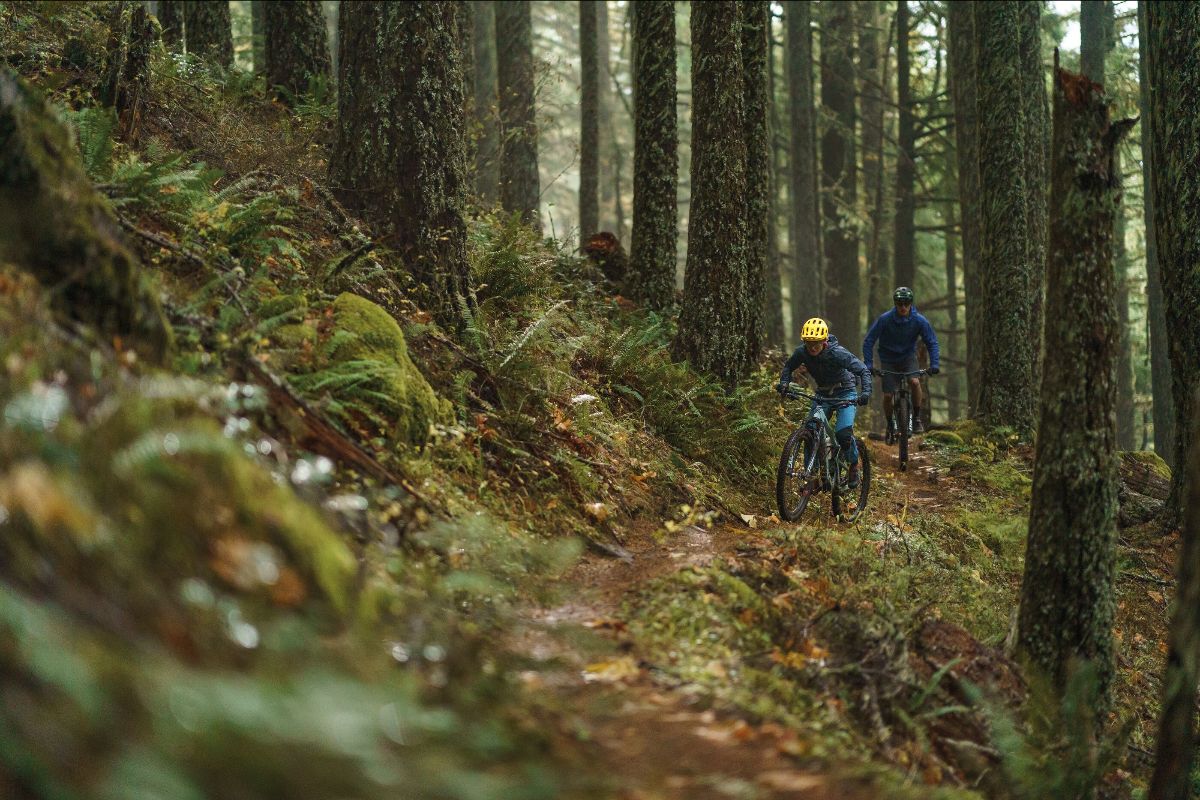 patagonia DIRT ROAMER STORM JACKET