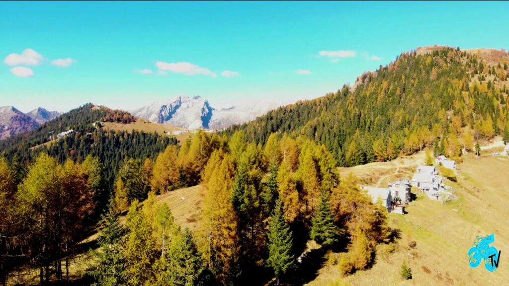 Foresta autunnale con montagne sullo sfondo in una giornata soleggiata.