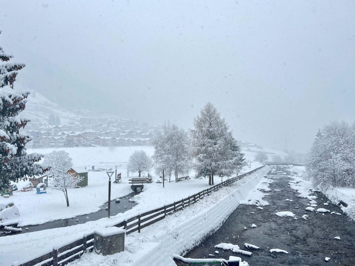 Vermiglio