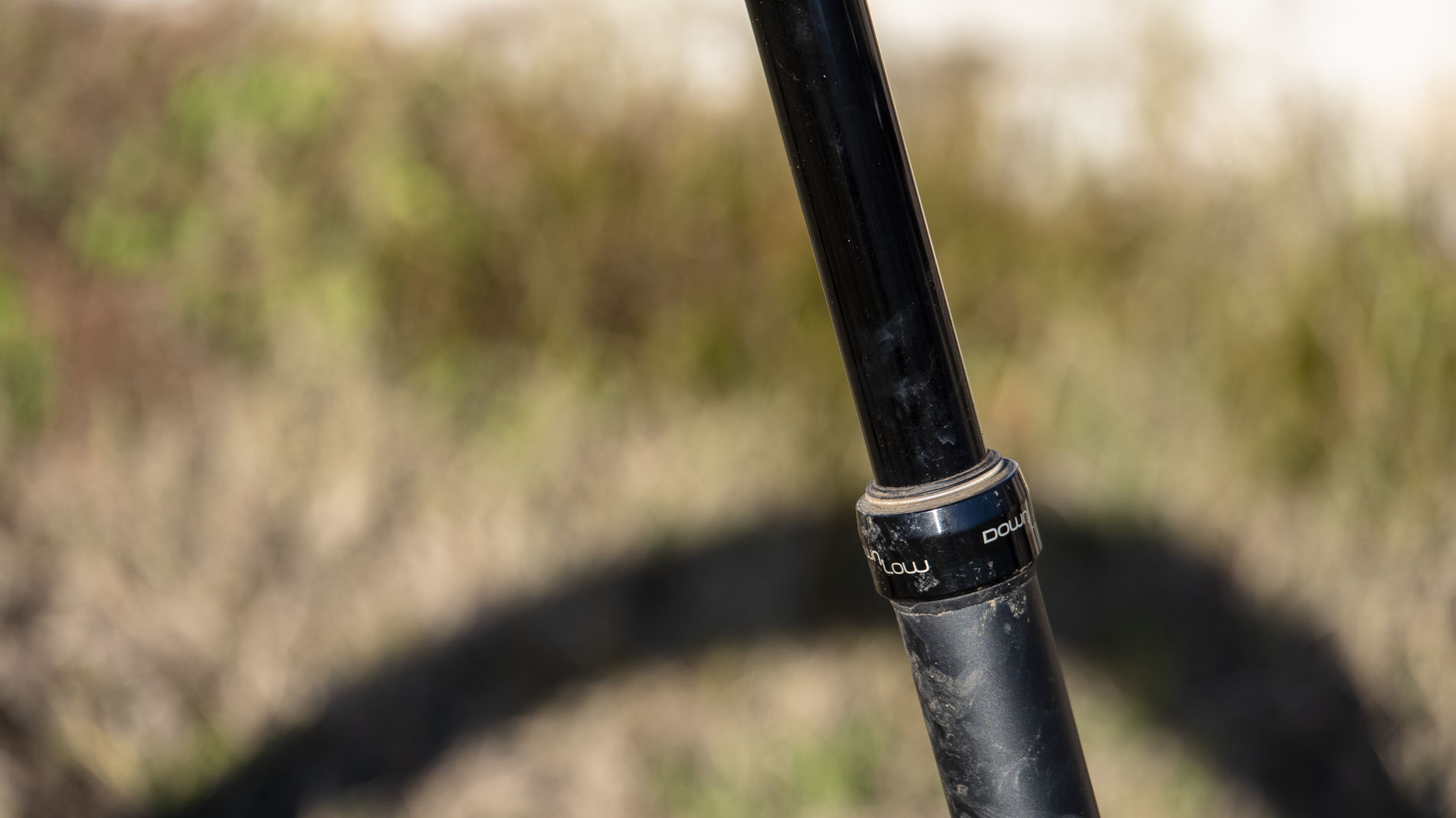 Cannondale DownLow (3)