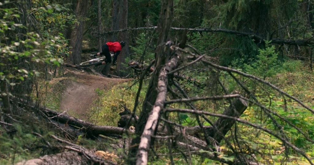 Salto con mountain bike tra alberi e rami su sentiero forestale.
