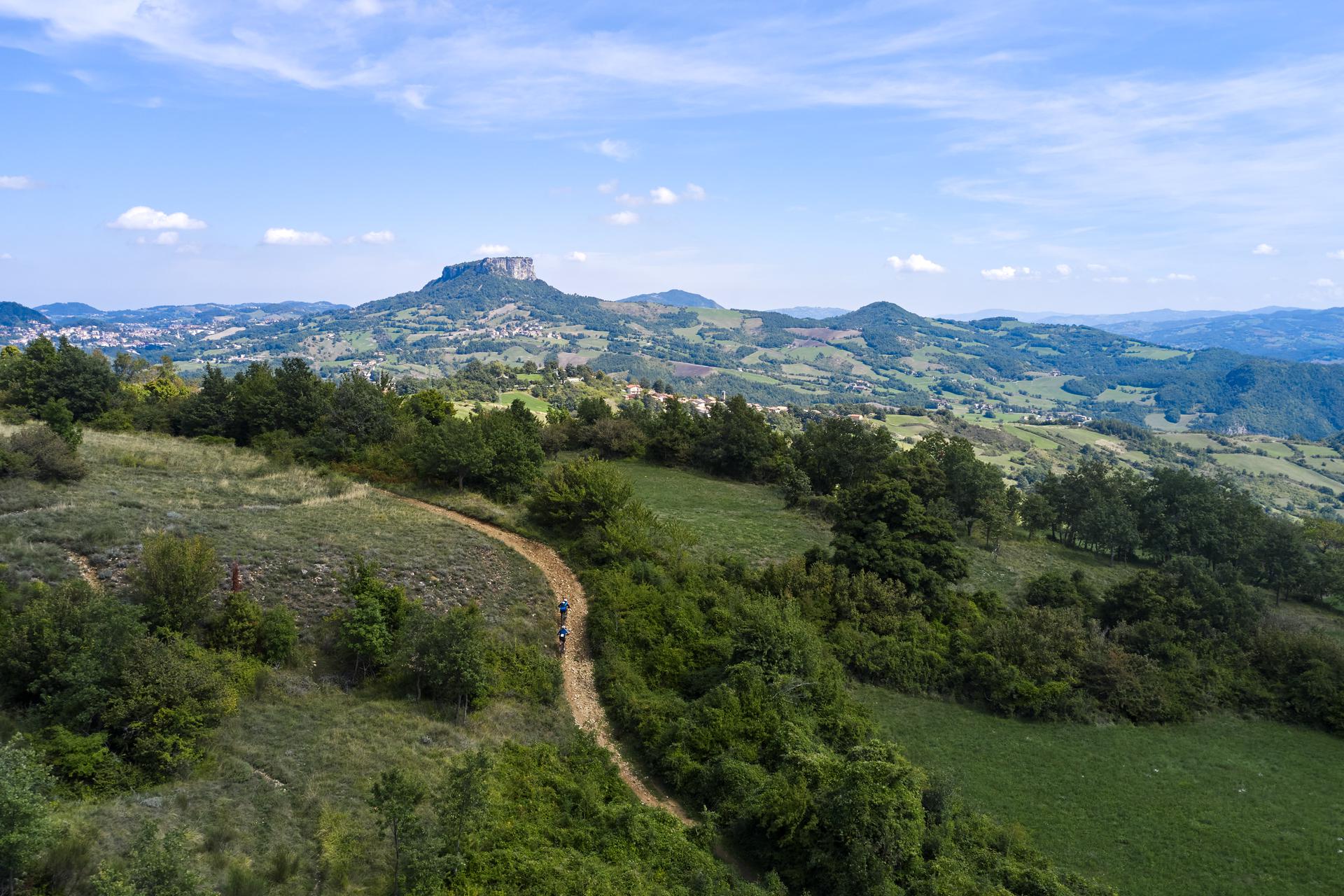 AM22_S2_MARIUS_HOLLERDJI_0417 (2)