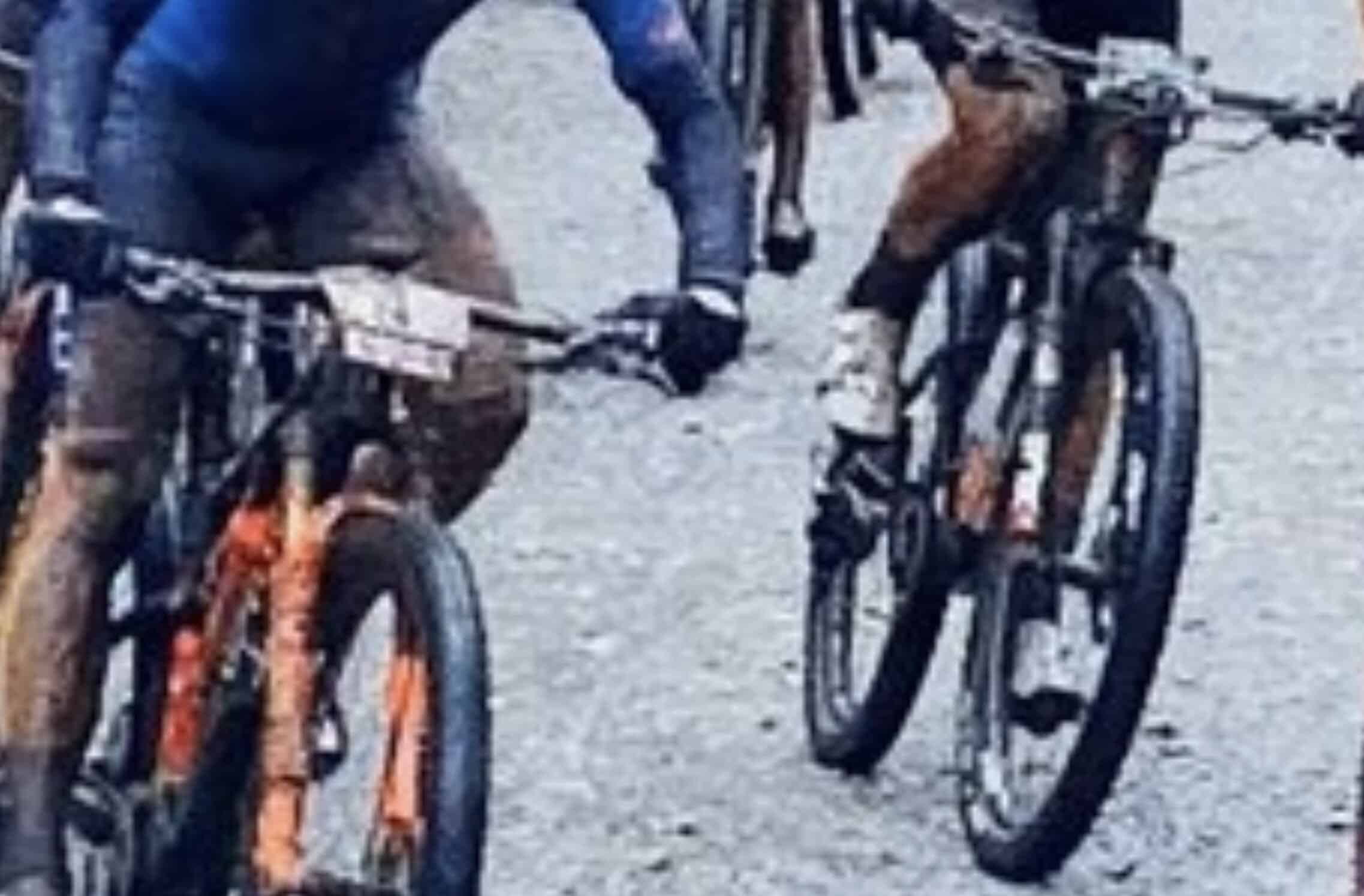 Photo via @annew4287 Twitter