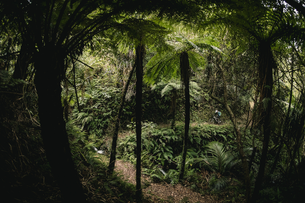 nz mtb rally tappe enduro