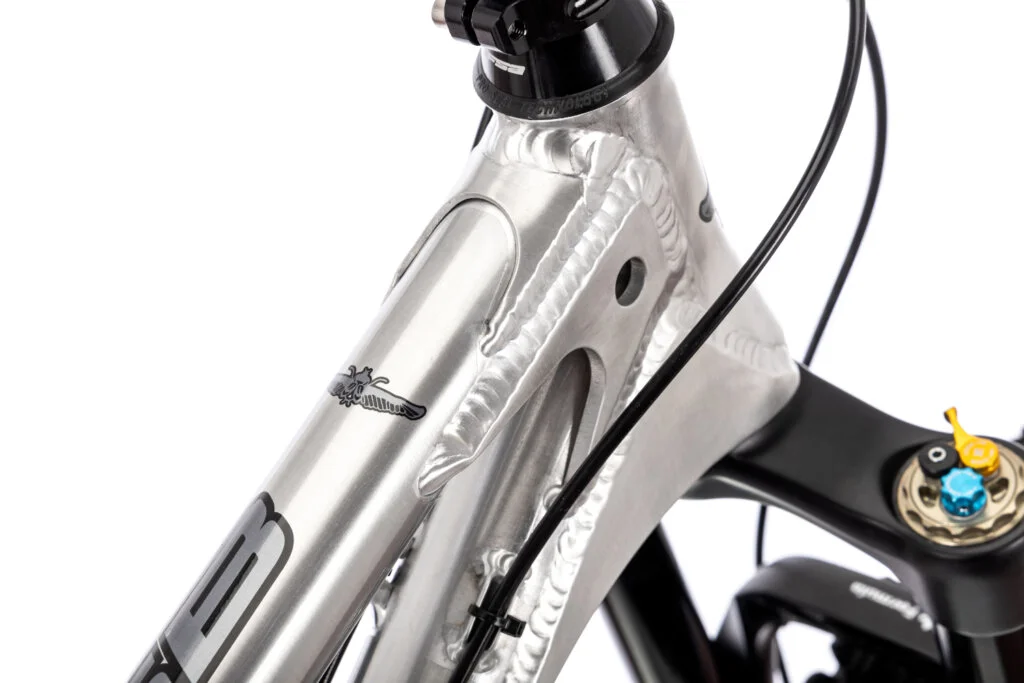 ancillotti scarab sb (3)