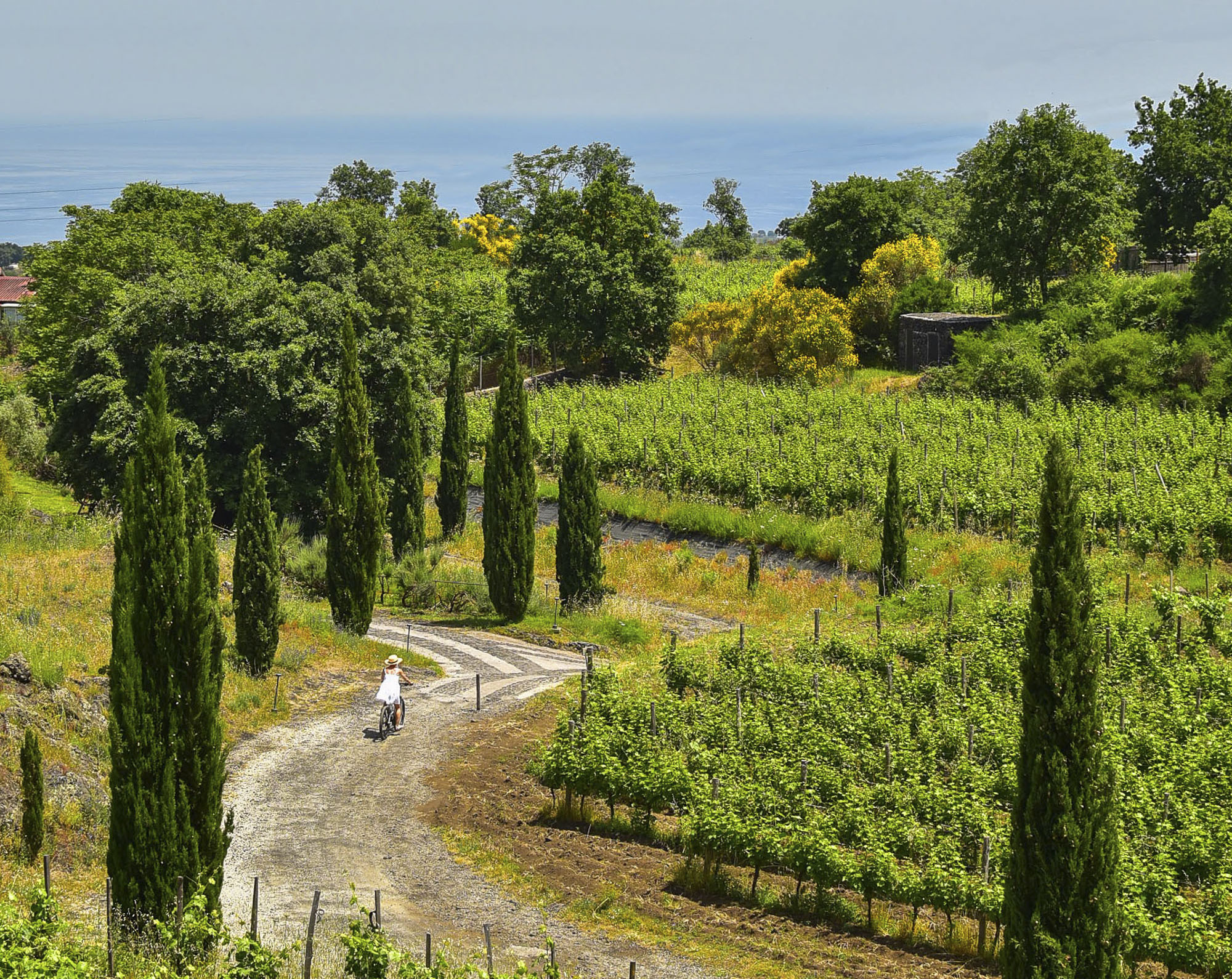 LBH_MonaciDelleTerreNere_Sicilia_16_Bikingintenuta