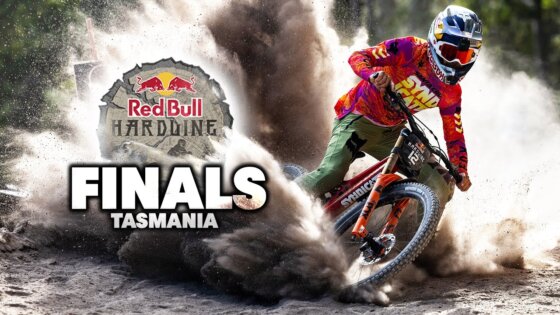 red bull hardline tasmania