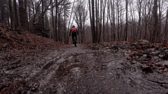 Sentiero di montagna fangoso con ciclista che pedala tra gli alberi spogli in una giornata invernale.