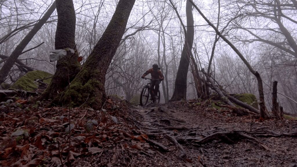 Sentiero di montagna con ciclista in corsa tra gli alberi in una giornata nebbiosa.