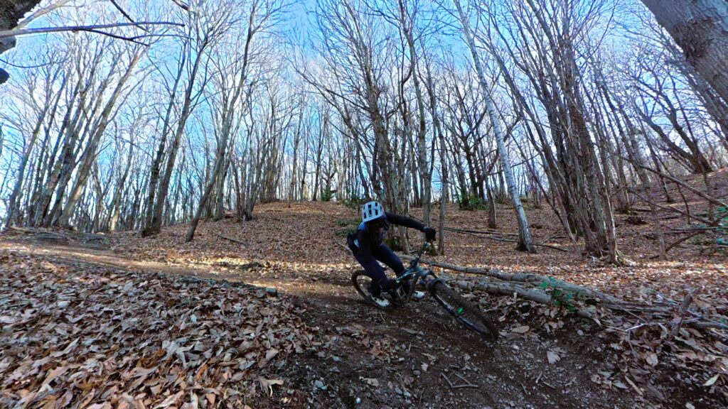 Fahrer mountain bike su sentiero boscoso in inverno, foglie secche e rami.