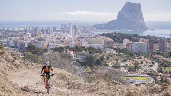 in foto: Wout Alleman / ph credit wisthaler.com