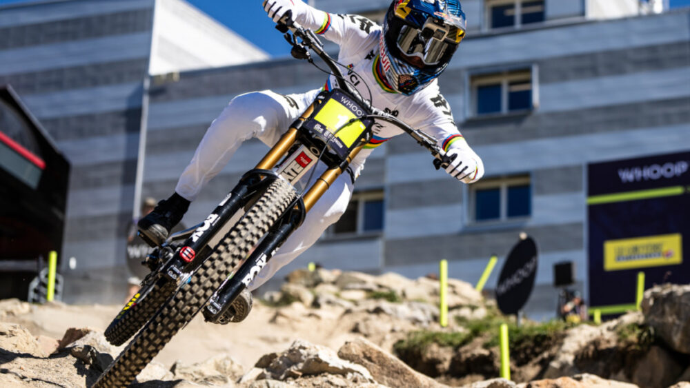 Maxxis DHX