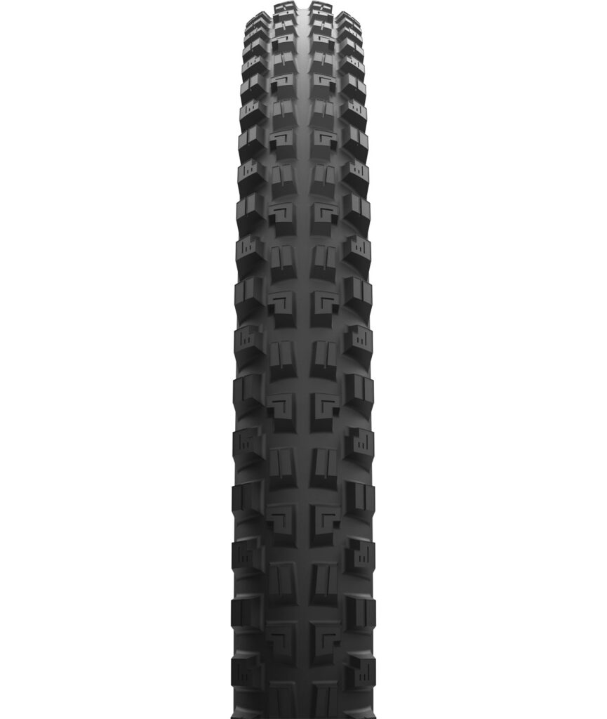 Maxxis DHX