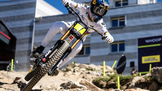 Maxxis DHX