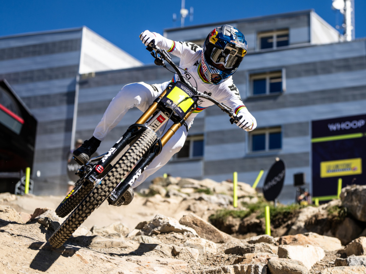 Maxxis DHX