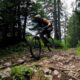 Paganella Bike Park